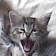 Benutzeravatar