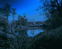 LANGRO_original_750_592.jpg