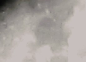 was_ist_das.jpg (30.05 KiB) 10546 mal betrachtet was_ist_das.jpg