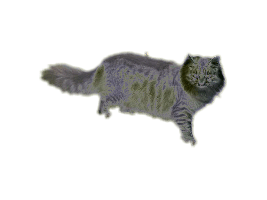 katze2.png