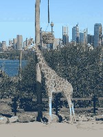 59786.jpg