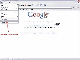 IE6