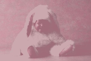 HASE light