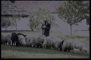 hinweis2.jpg