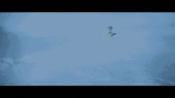 01_2.jpg (47.84 KiB) 5922 mal betrachtet 01_2.jpg