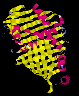 01.gif