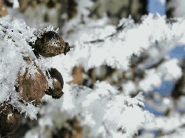 Bild_07.jpg