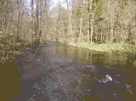 a04.jpg