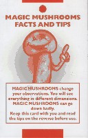 mushroom.jpg