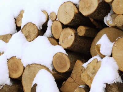Bild_08a.jpg