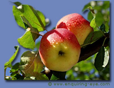 04e.jpg