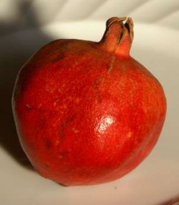 01e.jpg