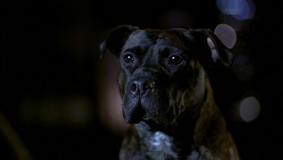 PDVD_008.jpg (72.52 KiB) 8142 mal betrachtet PDVD_008.jpg