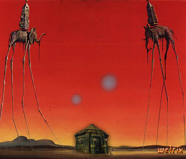 S. Dali - Elefanten