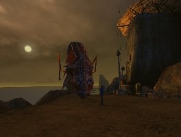 08.jpg