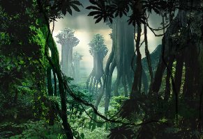 jungle.jpg