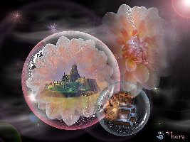 Blütenfantasie.jpg (217.88 KiB) 8197 mal betrachtet Blütenfantasie.jpg