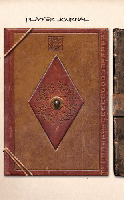 Player journal