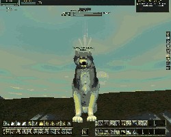 EQ2_000008.jpg