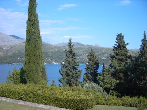 Blick vom Balkon.jpg