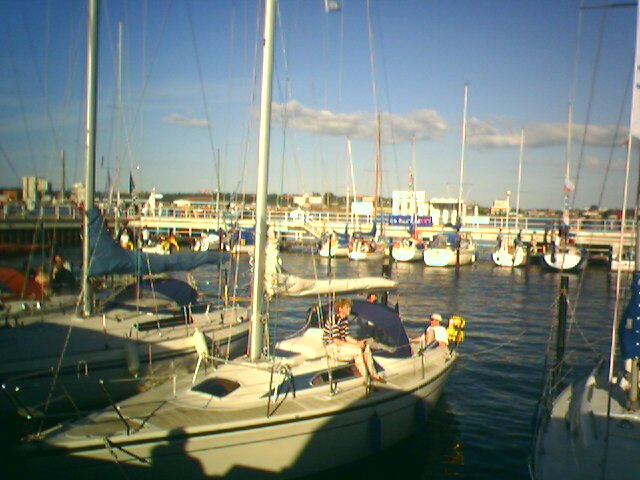 IMAGE_005.jpg