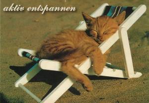 aktiv-entspannen-1.jpeg