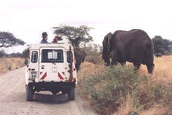 img098.jpg