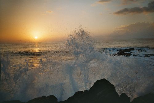 tn_imm014_15.jpg