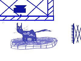 katzi.jpg