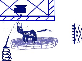 Katze 3.jpg