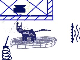 Katze 3.jpg