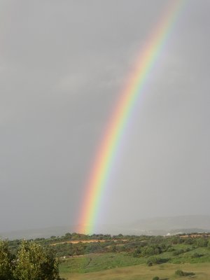 regenbogen.jpg