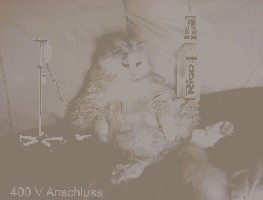 alkkatzi.jpg (38.79 KiB) 7490 mal betrachtet Stromkatzi ;)