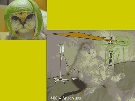 Alkikatz003.jpg (30.1 KiB) 7161 mal betrachtet Rettung, die dritte