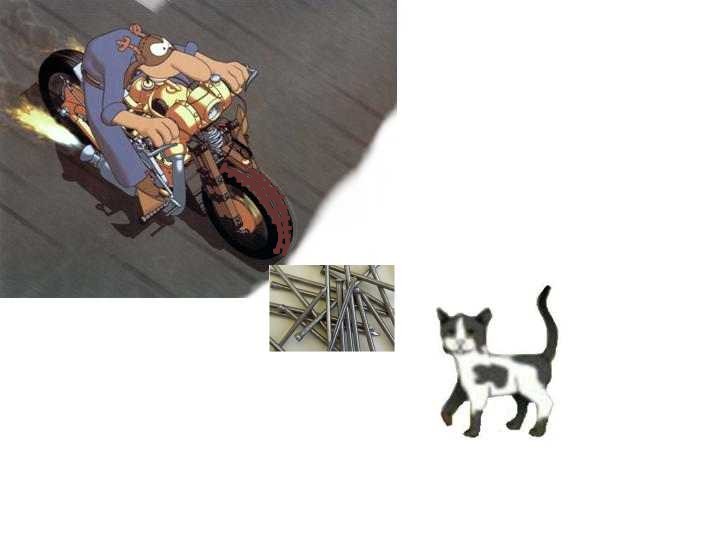 catkill01_997.jpg